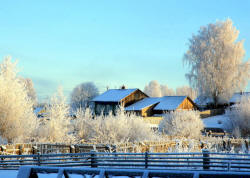 Зима в Новокемском в 2008 году